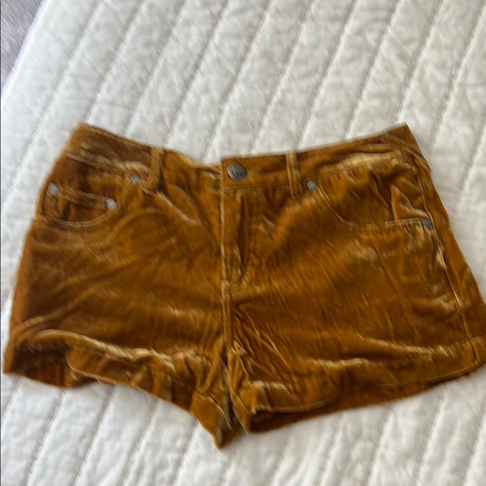 Free People Velvet Shorts